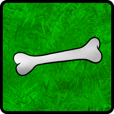 Bone 3